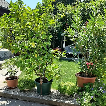 Apartman Tinka Ház