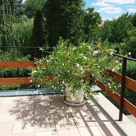 Apartment Tinka Haz