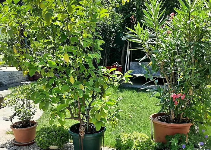 Apartament Tinka Haz